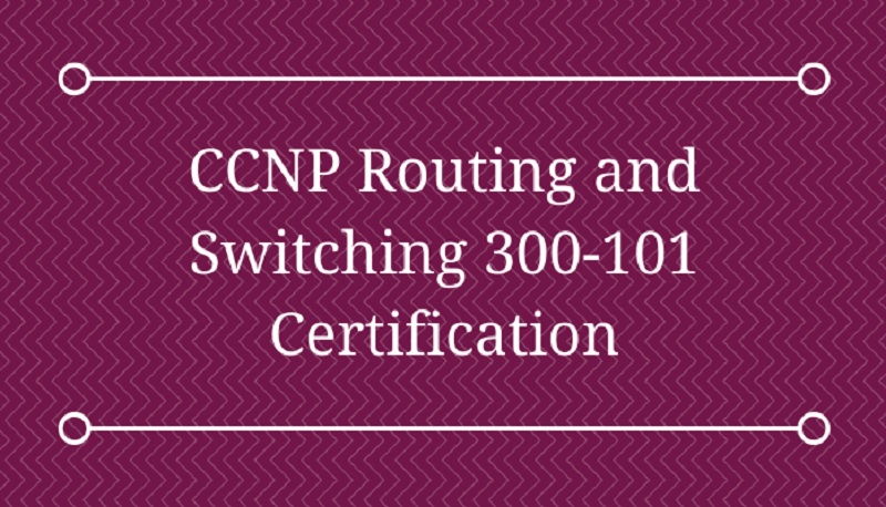 benefits of Cisco CCNP 300-101 Exam Dumps