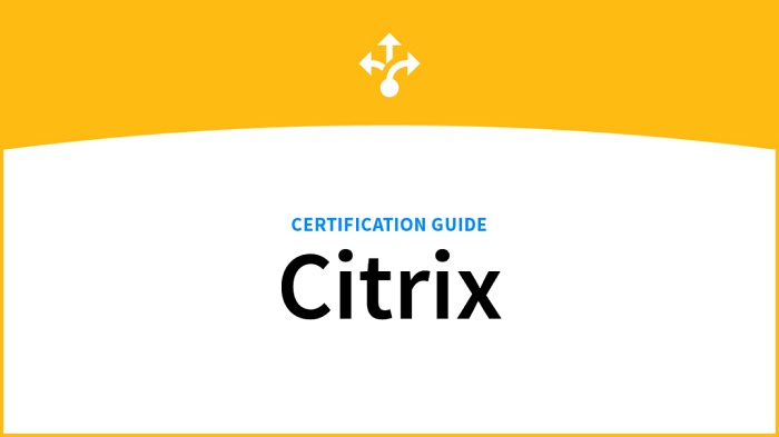 Citrix NetScaler Mock Exam Dumps Questions & Free Files