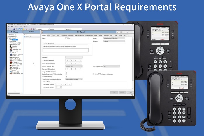 How do I access Avaya One-X portal
