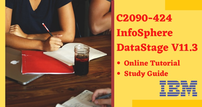 What is IBM InfoSphere DataStage v11.3 C2090-424 Used For