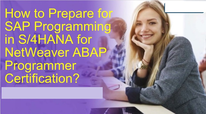 What is Programming in SAP S 4HANA, for SAP NetWeaver ABAP 1