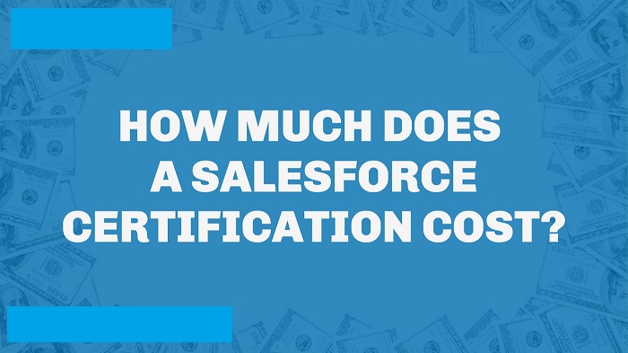 How Much Does Salesforce CRT-101 Exam Cost