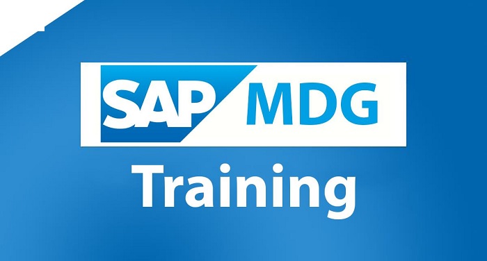 SAP MDG training